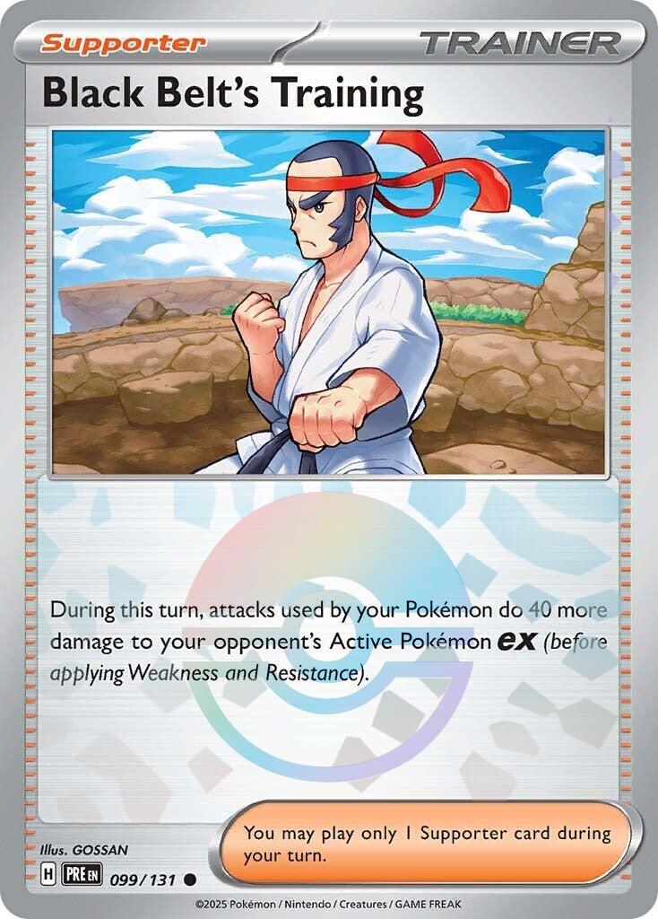 Black Belt's Training (Poke Ball 099)