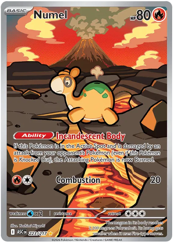 Numel (ASC 223)