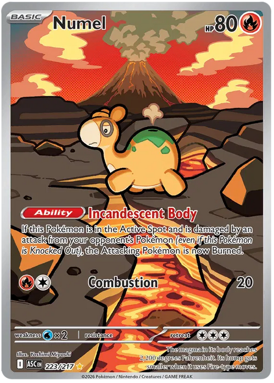 Numel (ASC 223)