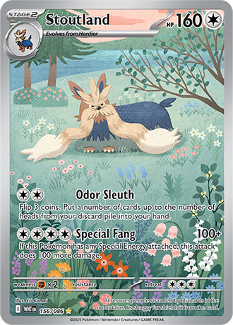 Stoutland (WHT 156)